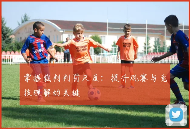 掌握裁判判罚尺度：提升观赛与竞技理解的关键